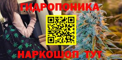 ПСИЛОЦИБИНОВЫЕ ГРИБЫ Северобайкальск