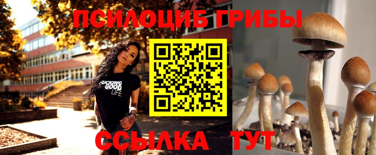 Псилоцибиновые грибы прущие грибы Новодвинск