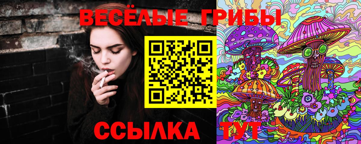 Галлюциногенные грибы ЛСД  Вход с VPN  Новодвинск 