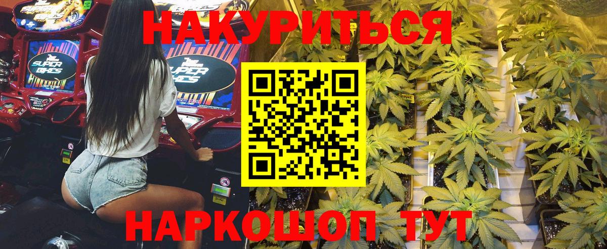 Бошки Шишки план Новодвинск